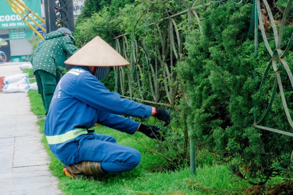 Ra quân dọn rác, trồng cây hướng tới kỷ niệm 120 năm Du lịch Sa Pa