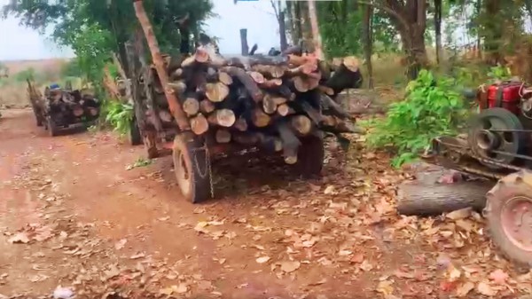 Rừng Ia Mơ bị tàn phá: Ngành chức năng mở rộng phạm vi kiểm tra khoảng 4km