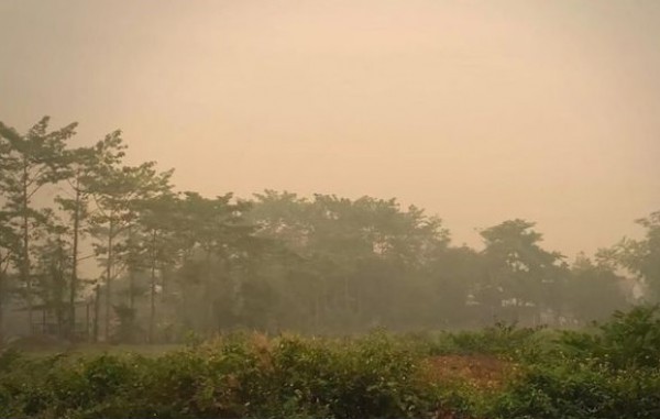 Thái Lan cân nhắc áp lệnh giới nghiêm ngăn nạn cháy rừng
