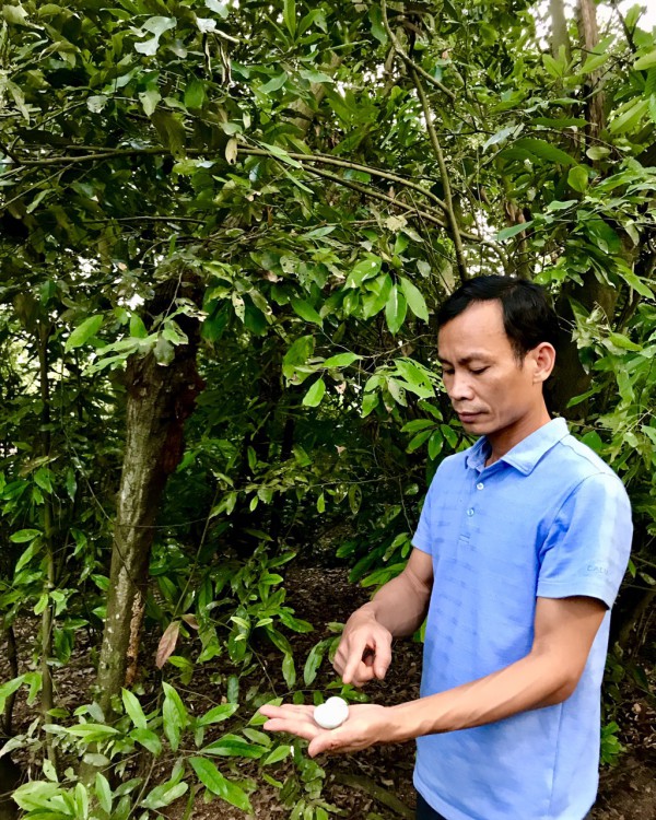 Thầy giáo tâm huyết bảo vệ vườn cò ở Tân Yên, Bắc Giang