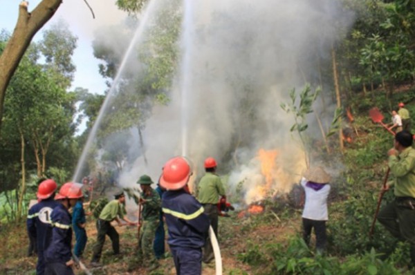Trạm Tấu (Yên Bái): Chú trọng phòng ngừa cháy rừng
