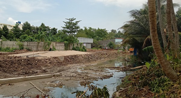 Tuồn hàng ngàn mét khối 