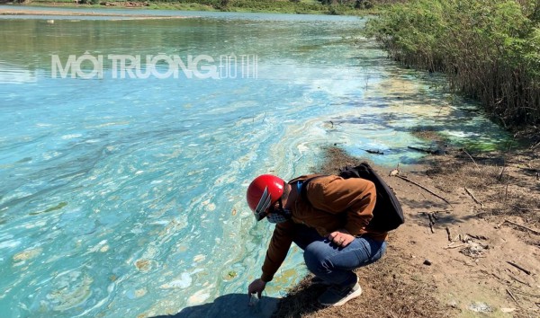 Vụ ô nhiễm tại lòng hồ Ya Ly: Cần kiểm tra nguồn nước xả thải của các nhà máy thượng nguồn