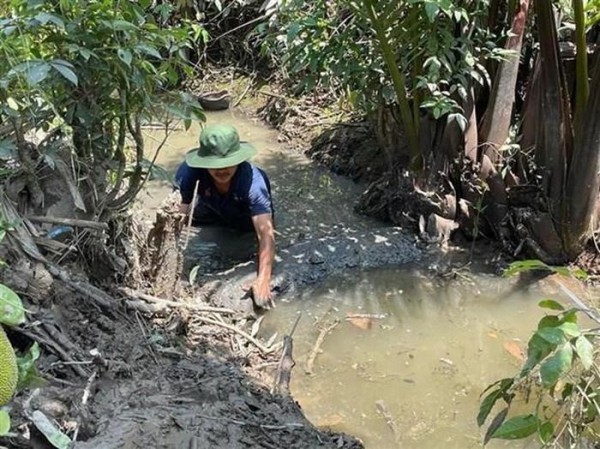 Xâm nhập mặn ở ĐBSCL còn biến động, các địa phương cần tích trữ nước