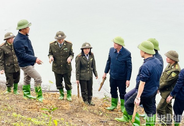 Yên Bái phát triển rừng bền vững