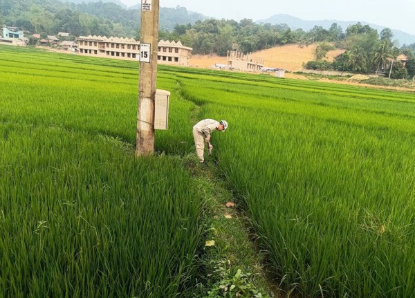 Điện Biên: Triển khai kế hoạch quan trắc môi trường