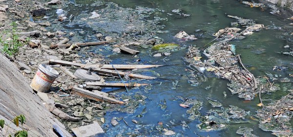 Ô nhiễm kênh 19 Tháng 5 ở TP.HCM: Rác thải bủa vây, nước đen bốc mùi thối