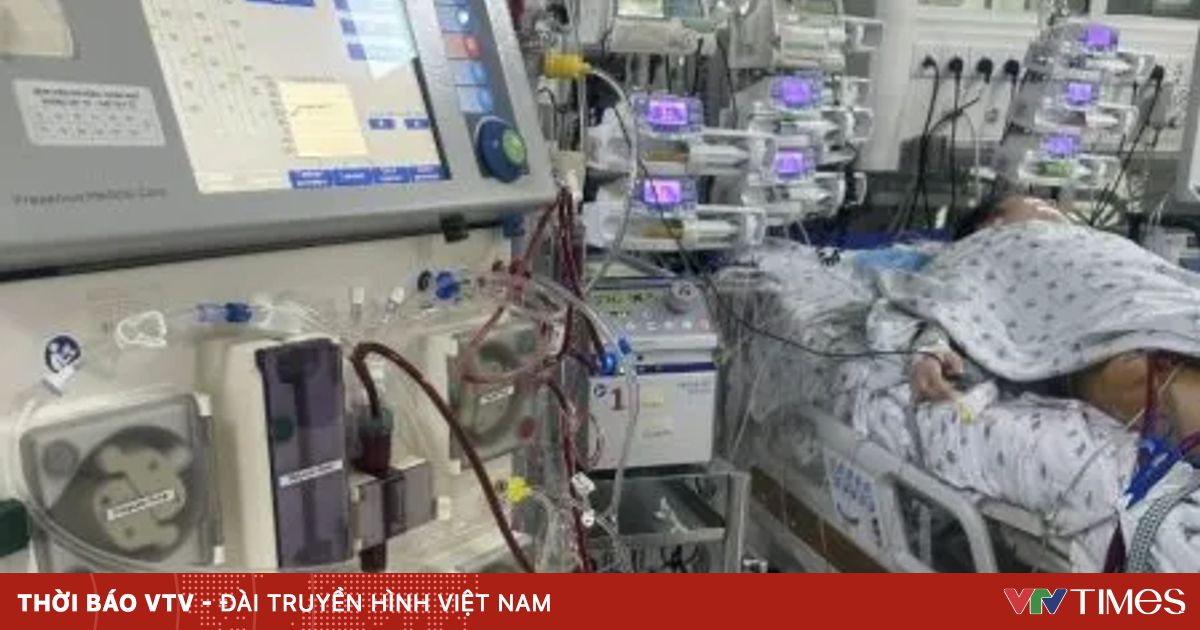 Can thiệp ECMO cứu bé gái sốc nhiễm trùng, suy đa cơ quan nặng