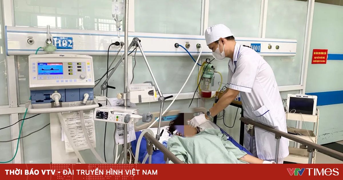 Cô gái trẻ sốc phản vệ nguy kịch sau khi bị ong đốt