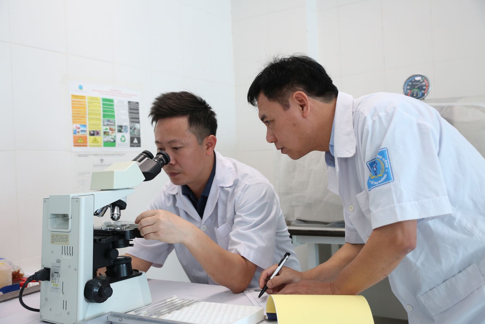 Hơn 120 người trong một thôn ở Hà Tĩnh bị viêm da tiếp xúc do bọ chét