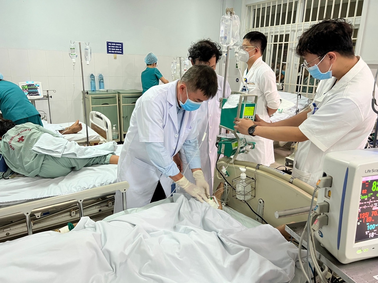 Khẩn trương mang thuốc giải độc đến Quảng Nam cứu bệnh nhân ngộ độc Botulinum do ăn cá chép muối ủ chua