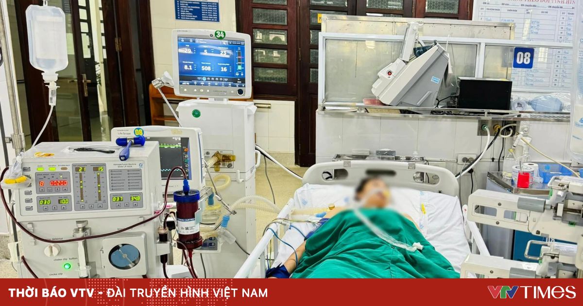 Suýt mất mạng vì bị rắn cạp nia cắn khi đang ngủ