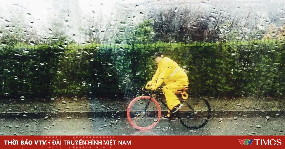 Tại sao đi mưa về phải tắm ngay để tránh bệnh cảm?