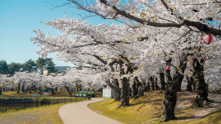 5 điểm đến thú vị dành cho mọi bà mẹ trong Ngày của Mẹ 5 điểm đến thú vị dành cho mọi bà mẹ trong Ngày của Mẹ