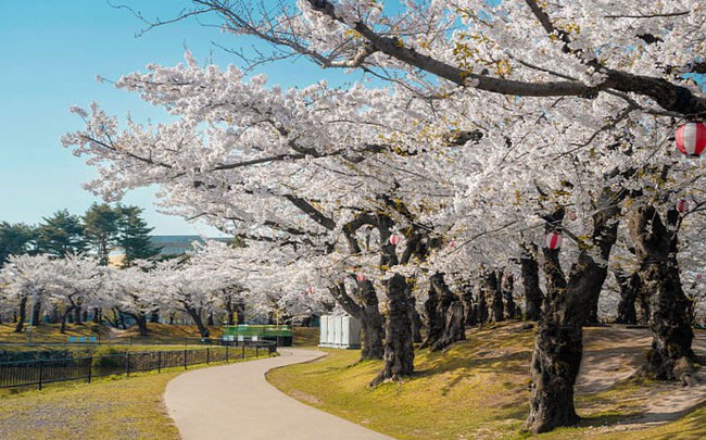 5 điểm đến thú vị dành cho mọi bà mẹ trong Ngày của Mẹ 5 điểm đến thú vị dành cho mọi bà mẹ trong Ngày của Mẹ