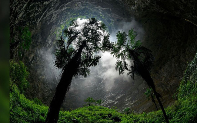 Bất ngờ, phát hiện “khu rừng cổ tích” trong chiếc hố sụt khổng lồ