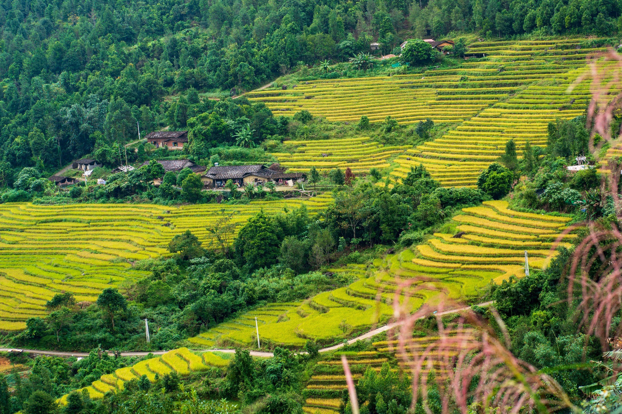 Bình Liêu – Đến là yêu