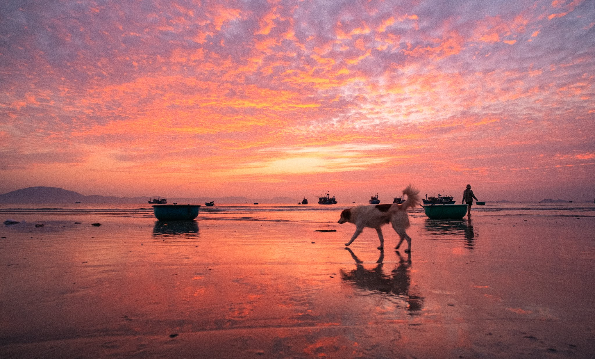 Chờ mực tươi, đúc bánh xèo nóng ngay tại làng chài Ninh Thủy
