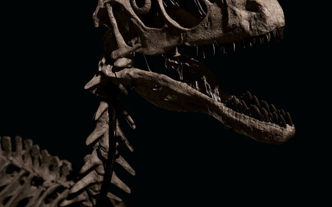 Hóa thạch “truyền cảm hứng” cho bộ phim Công viên Kỷ Jura được bán với giá 12 triệu USD
