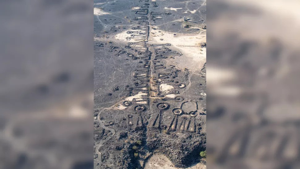 Khai quật “đại lộ danh vọng” 4.500 năm tuổi tại Ả Rập Saudi