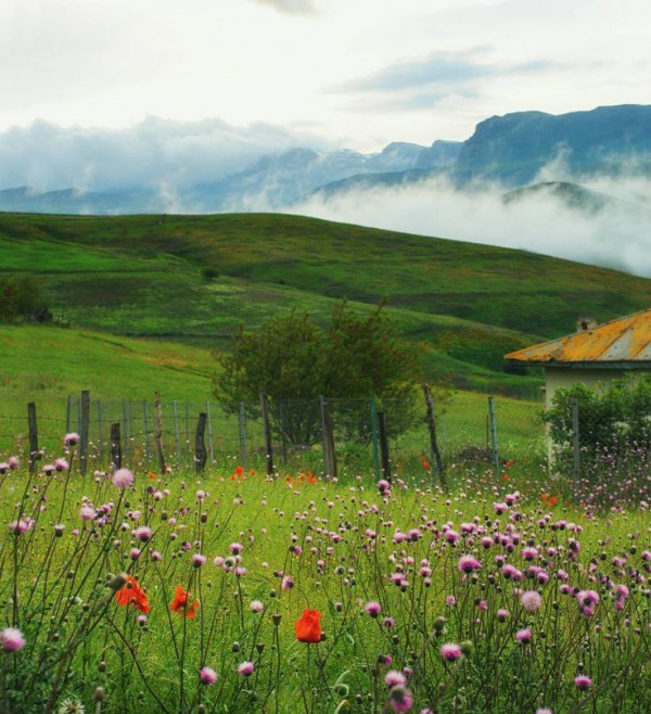 Khám phá những điều thú vị của Tết Ba Tư Khám phá những điều thú vị của Tết Ba Tư