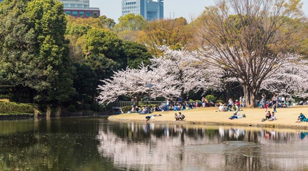 Khi nào là thời điểm tốt nhất để ghé thăm Nhật Bản? Khi nào là thời điểm tốt nhất để ghé thăm Nhật Bản?