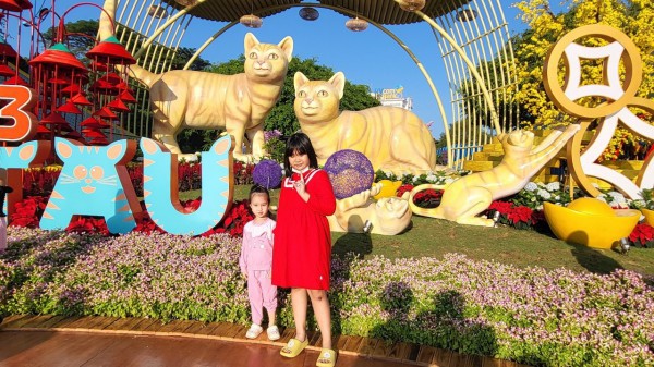 Mê mẫn với gia đình mèo vàng nghinh xuân ở Vũng Tàu