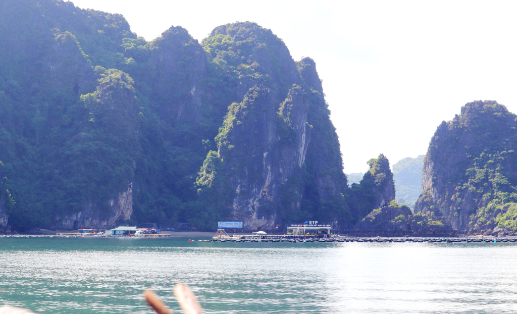 Mở rộng không gian kết nối Vịnh Bái Tử Long Mở rộng không gian kết nối Vịnh Bái Tử Long