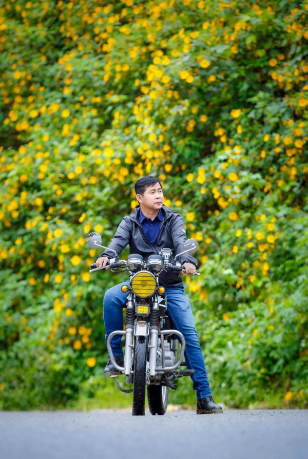 Mùa dã quỳ khoe sắc vàng trong nắng