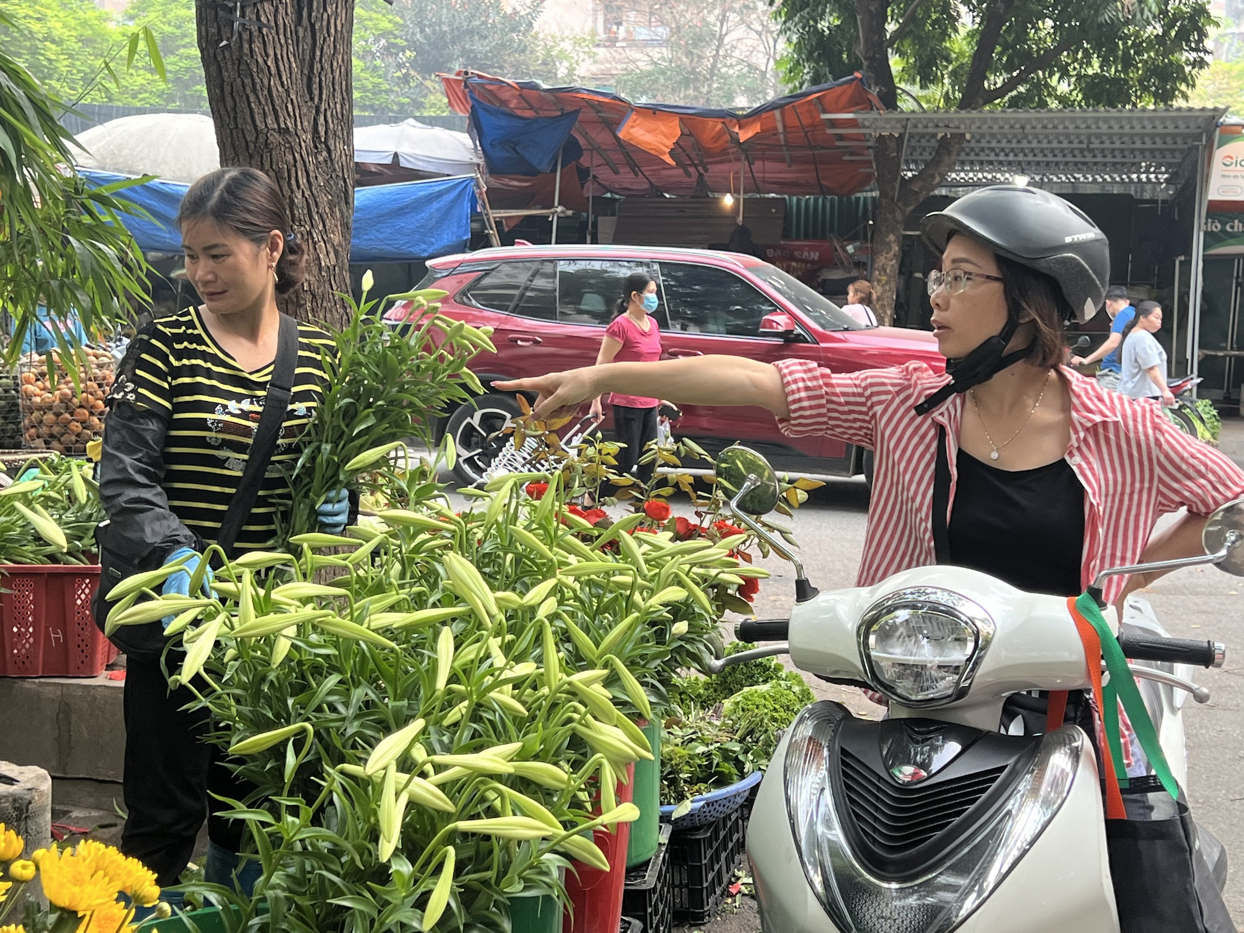 Mùa hoa loa kèn ở Hà Nội