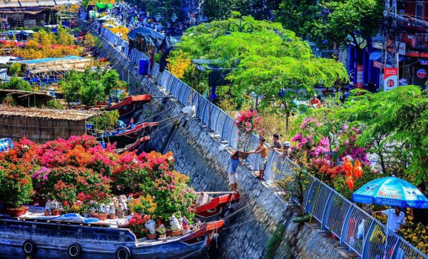 Năm điểm ngắm hoa tết rực rỡ nhất phương Nam