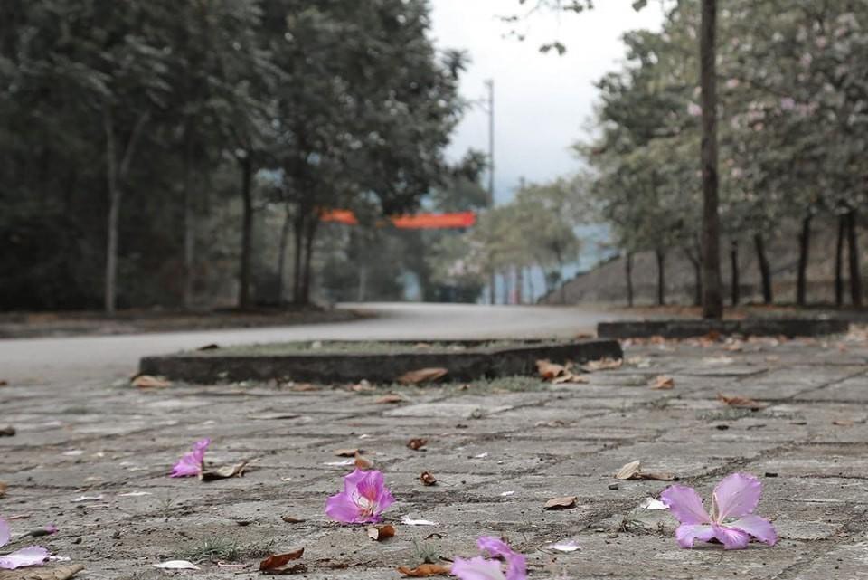 Năm du lịch quốc gia - Điện Biên 2024: Sức hút miền hoa ban Năm du lịch quốc gia - Điện Biên 2024: Sức hút miền hoa ban