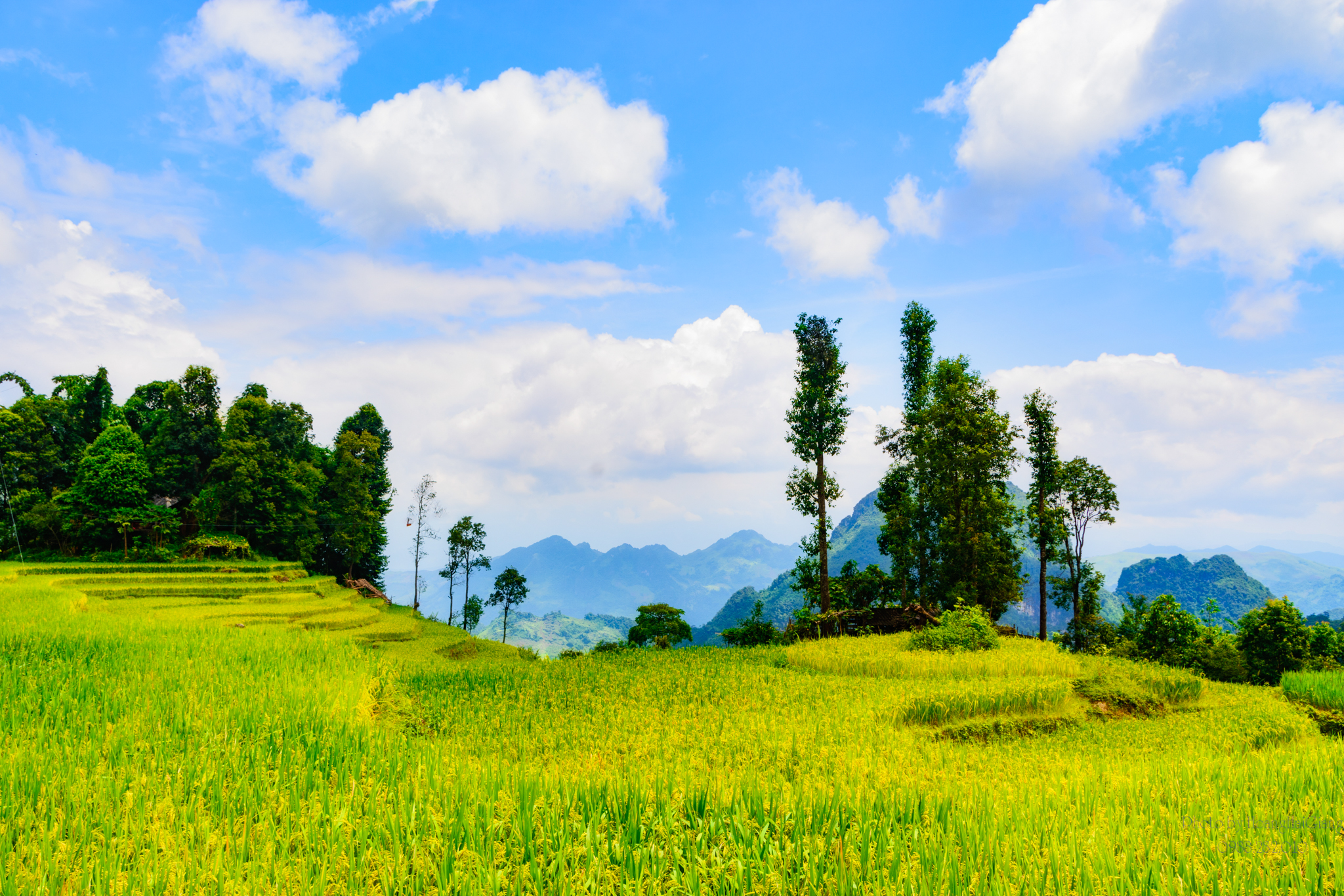 Năm du lịch quốc gia - Điện Biên 2024: Sức hút miền hoa ban Năm du lịch quốc gia - Điện Biên 2024: Sức hút miền hoa ban