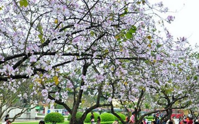 Những bản du lịch cộng đồng hấp dẫn ở Điện Biên Những bản du lịch cộng đồng hấp dẫn ở Điện Biên