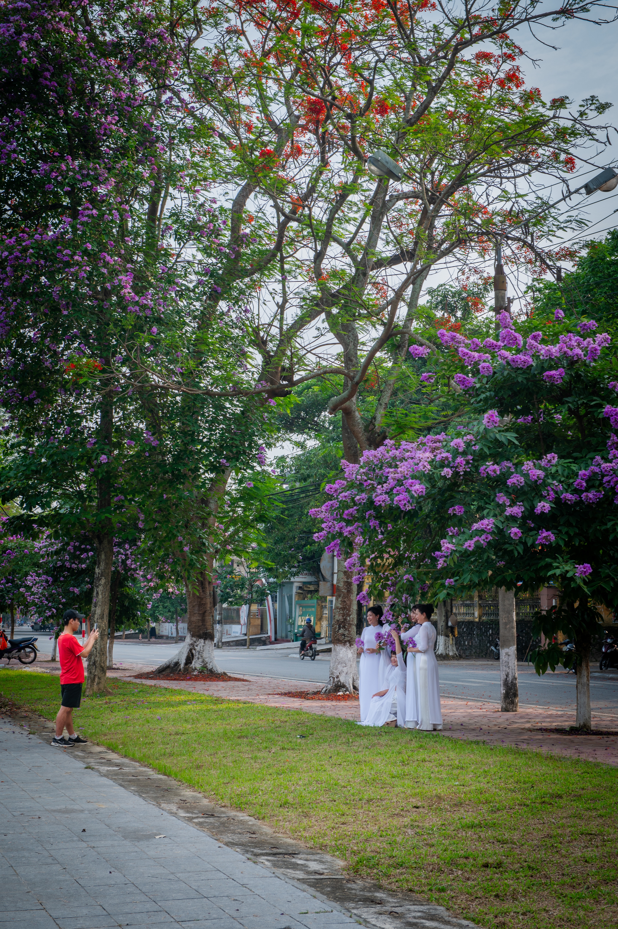 Nồng nàn sắc hoa mùa hạ Nồng nàn sắc hoa mùa hạ