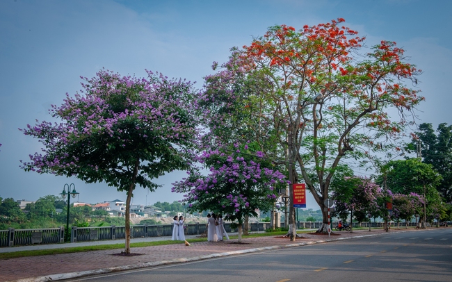 Nồng nàn sắc hoa mùa hạ Nồng nàn sắc hoa mùa hạ
