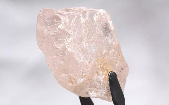 Phát hiện viên kim cương hồng lớn nhất trong vòng 300 năm qua