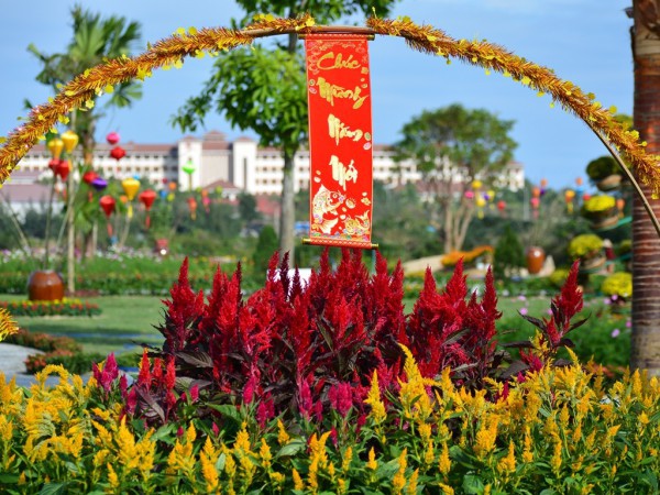 Rực sắc hoa tết ở công viên cạnh danh thắng Ngũ Hành Sơn