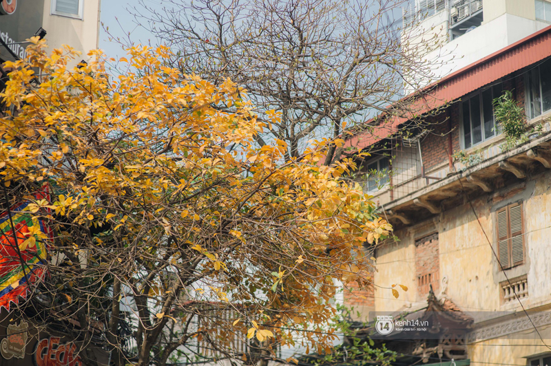 Thành phố nào là bình yên trong tim bạn: Nơi nào từng đi qua rồi cũng sẽ nhớ, sẽ thương! - Ảnh 2.