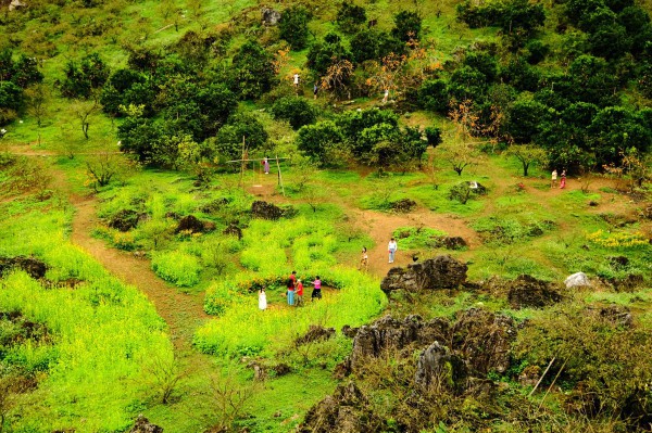 Vườn hồng trĩu quả đẹp mắt bên sườn đồi trong mùa đông Tây Bắc