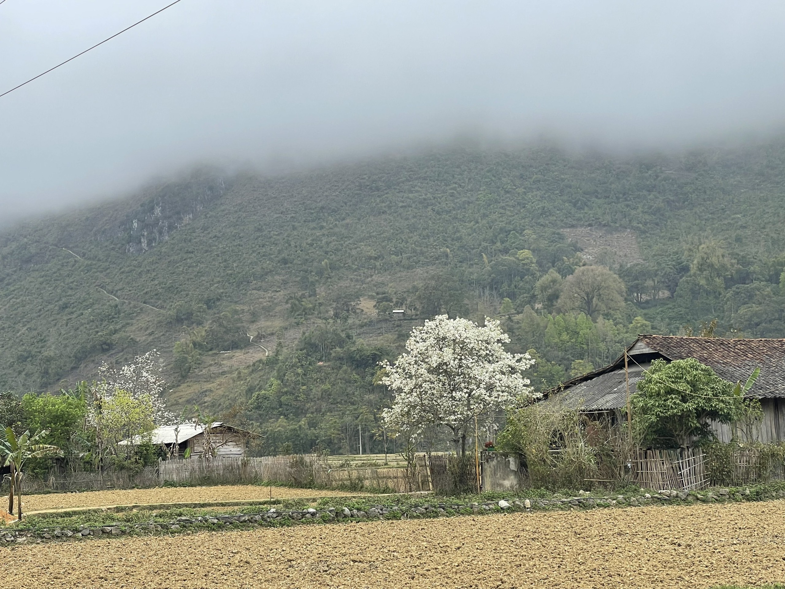 Đến Cao Bằng mùa hoa lê Đến Cao Bằng mùa hoa lê