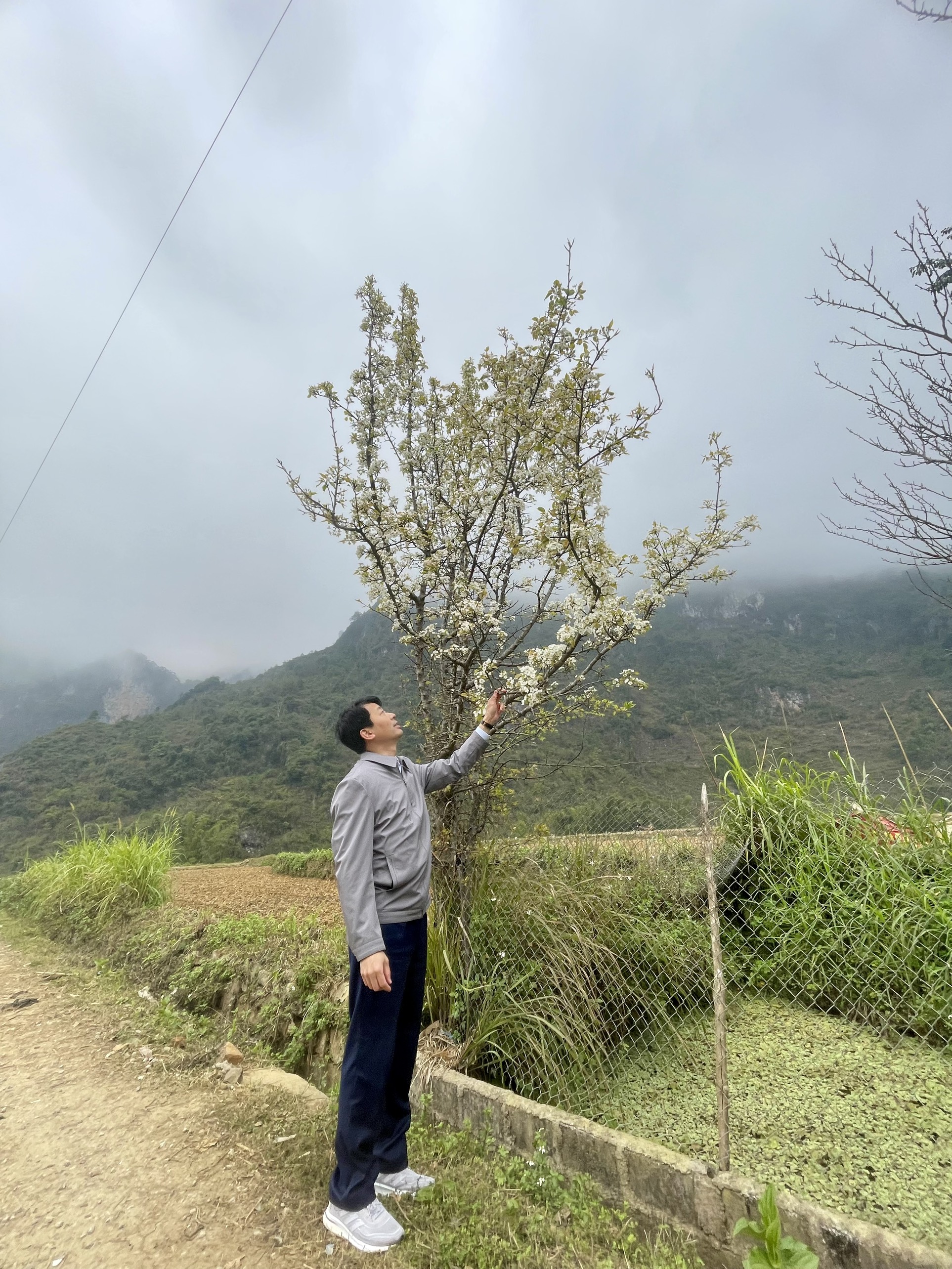 Đến Cao Bằng mùa hoa lê Đến Cao Bằng mùa hoa lê