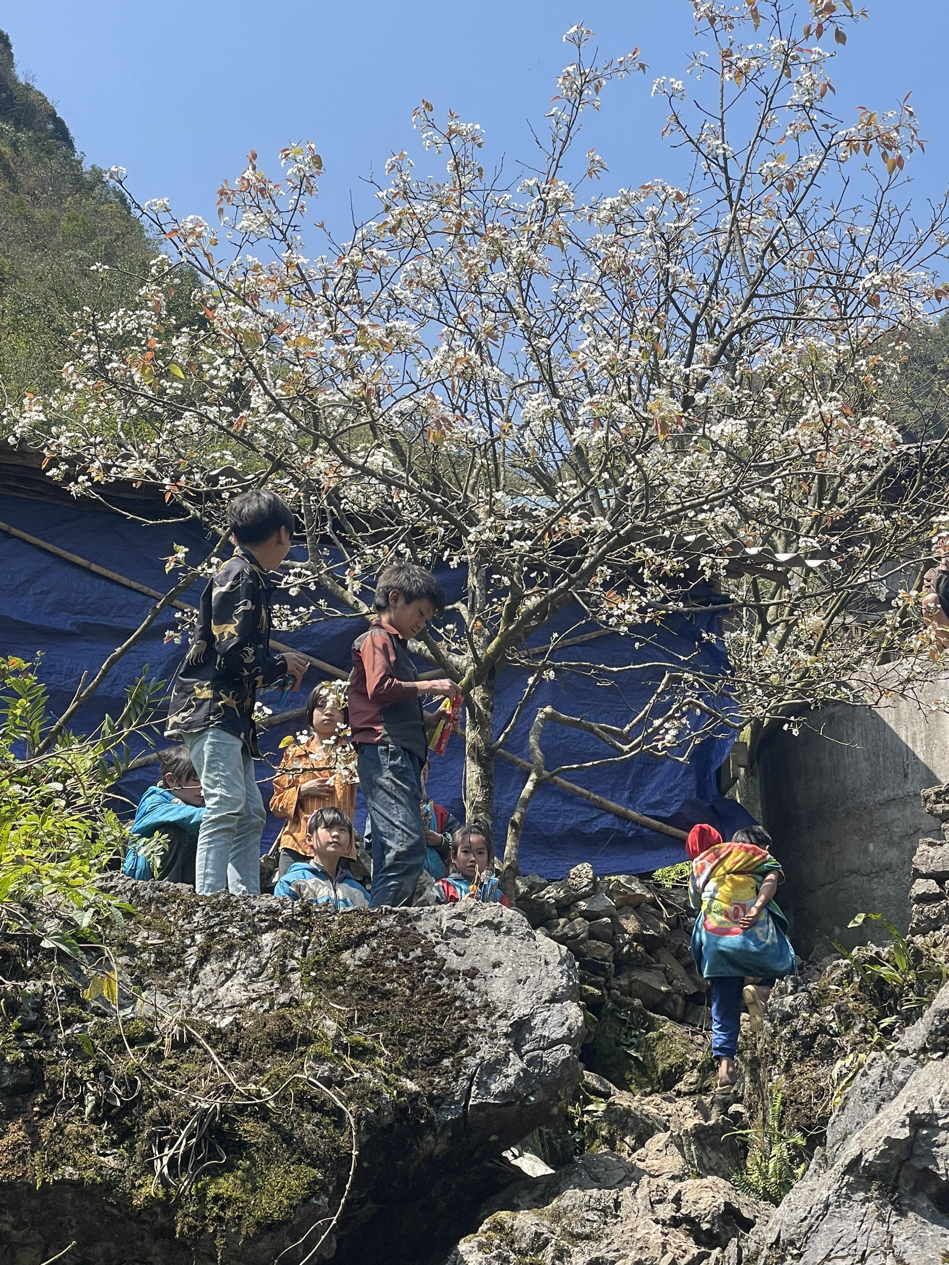 Đến Cao Bằng mùa hoa lê Đến Cao Bằng mùa hoa lê