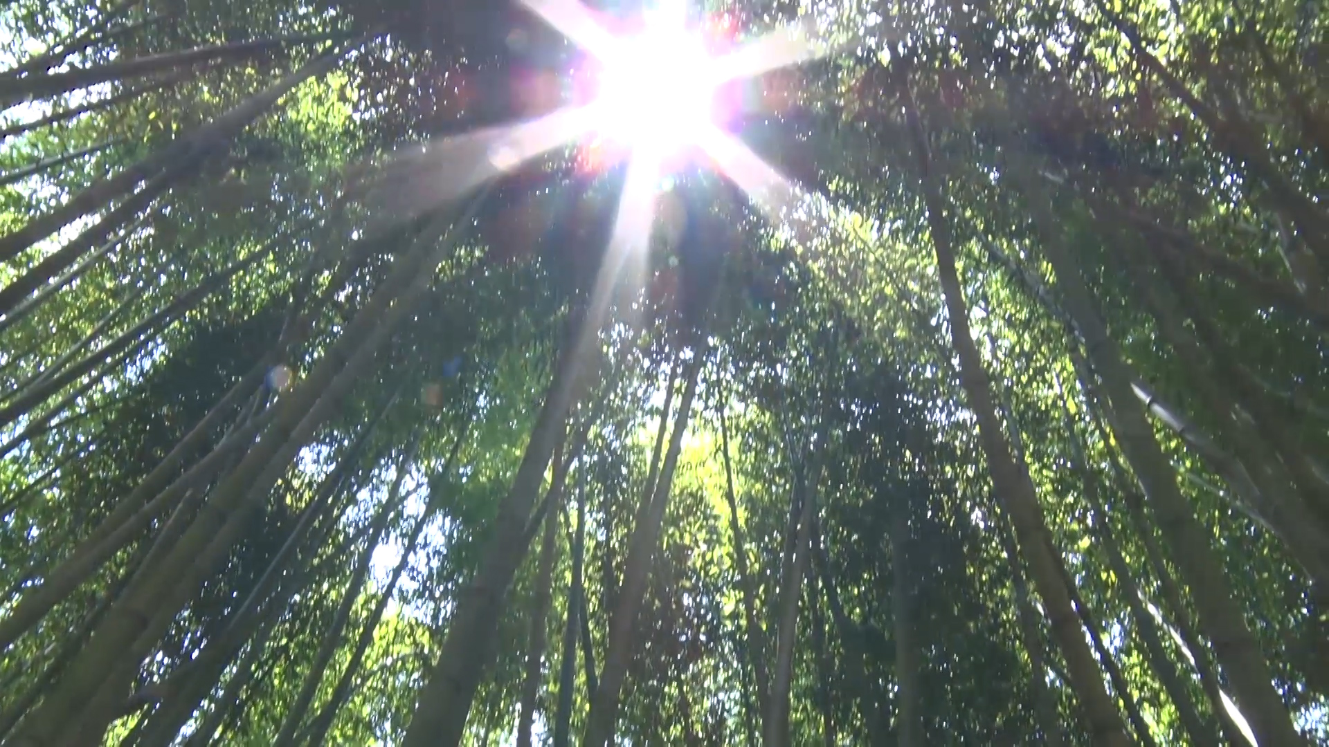 Đến Cao Bằng mùa hoa lê Đến Cao Bằng mùa hoa lê