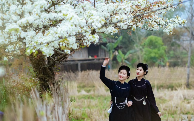 Đến Cao Bằng mùa hoa lê Đến Cao Bằng mùa hoa lê