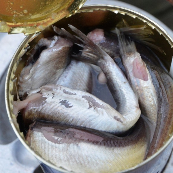 10 món ăn có mùi hôi nhất thế giới nhưng lại là đặc sản khó cưỡng 10 món ăn có mùi hôi nhất thế giới nhưng lại là đặc sản khó cưỡng