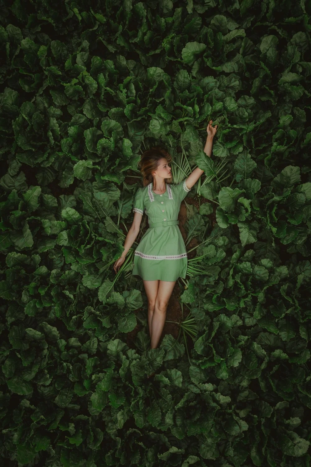 3 bức ảnh Việt Nam gây ấn tượng mạnh ở cuộc thi quốc tế 3 bức ảnh Việt Nam gây ấn tượng mạnh ở cuộc thi quốc tế