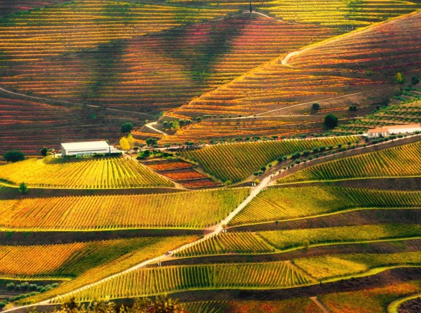 Báo Anh chọn hai điểm đến ở Việt Nam vào top đẹp nhất thế giới