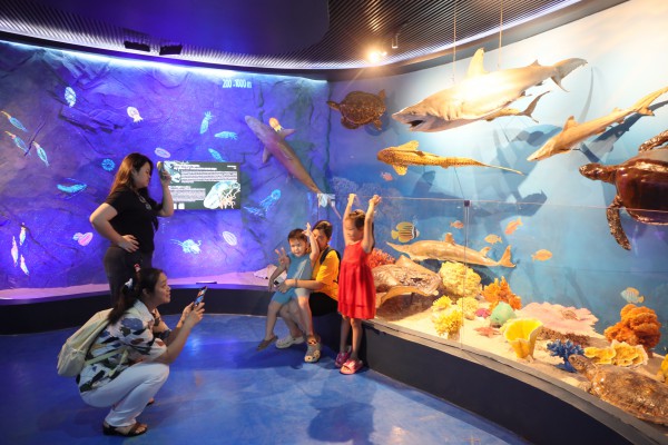 Bảo tàng Hải dương học mở cửa miễn phí khu trưng bày 'Đại dương kỳ bí'