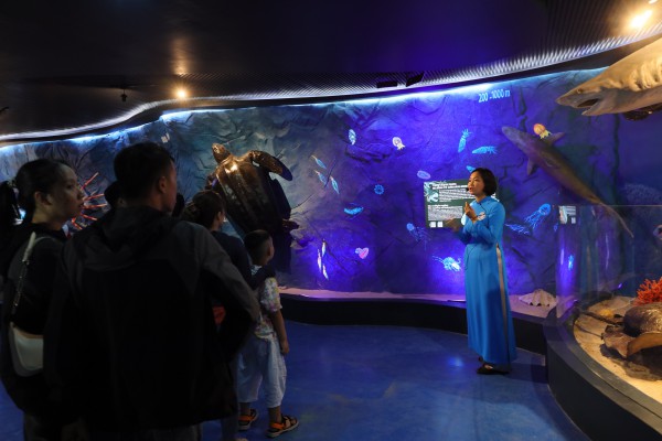 Bảo tàng Hải dương học mở cửa miễn phí khu trưng bày 'Đại dương kỳ bí'